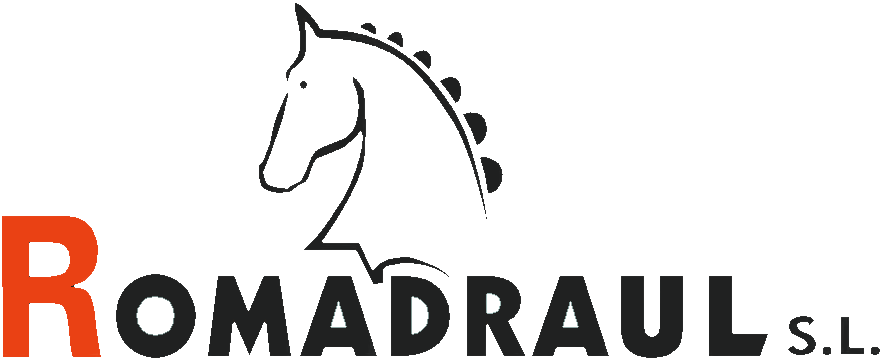 Transportes Romadraul